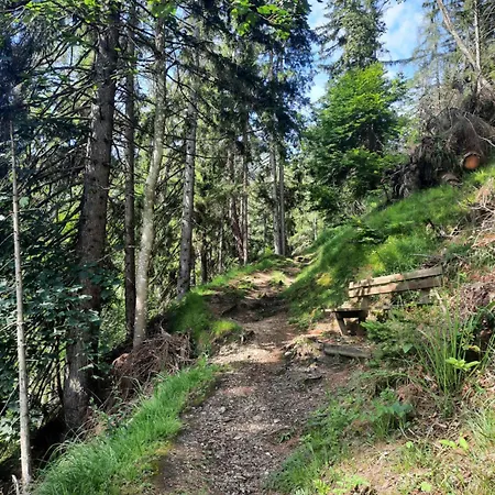 Appartement Emilia Schlitters