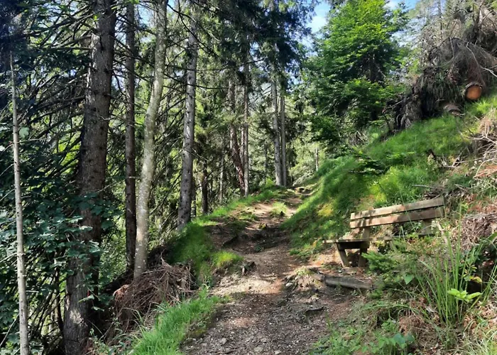 Apartment Emilia Schlitters